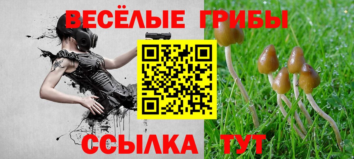 Псилоцибиновые грибы Cubensis Приморско-Ахтарск